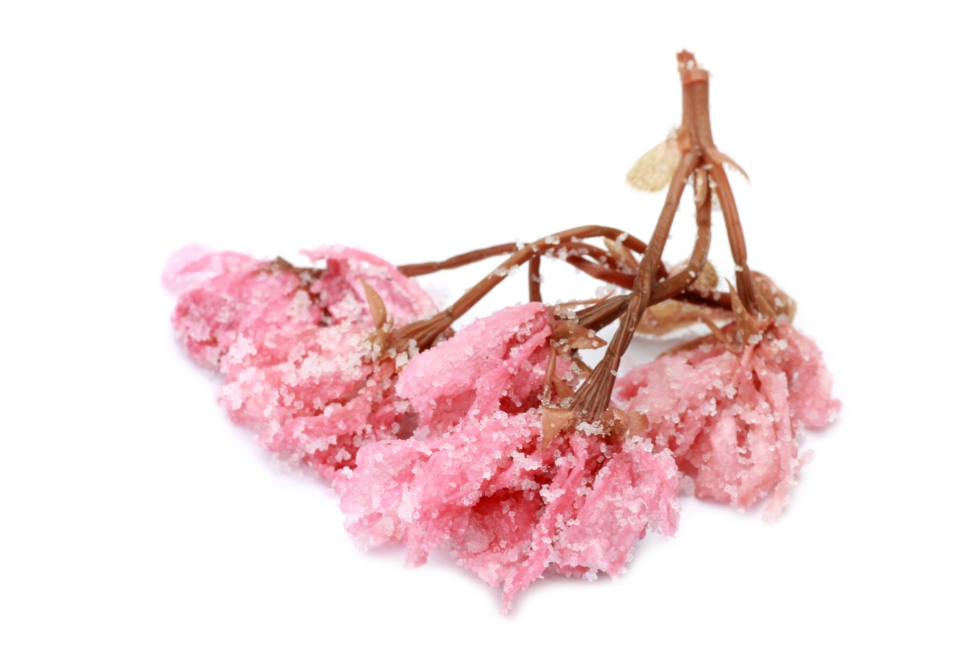 Salted Pickled Cherry Blossoms Pacific Gourmet